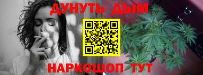 индика Краснознаменск