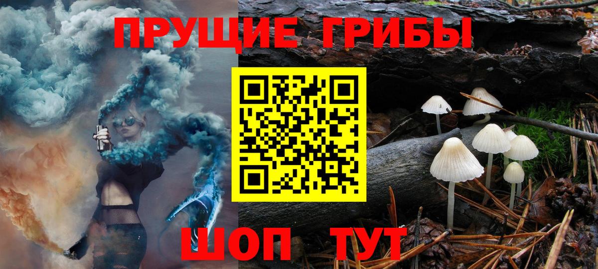 Псилоцибиновые грибы мухоморы  Вход с VPN  Канаш  Галлюциногенные грибы GOLDEN TEACHER 