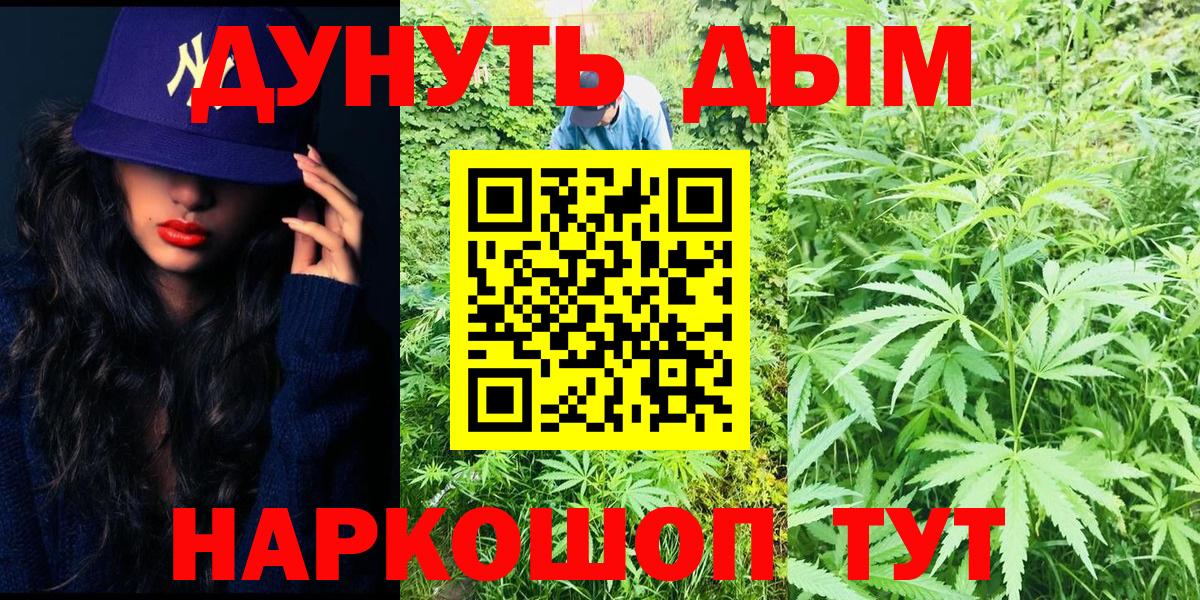Бошки марихуана сатива  Шишки марихуана конопля  Вход с VPN  Марихуана марихуана  Канаш 
